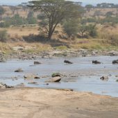  The Serengeti, TZ